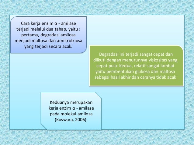 Aktifitas amilolitik dan produksi alkohol dari pati