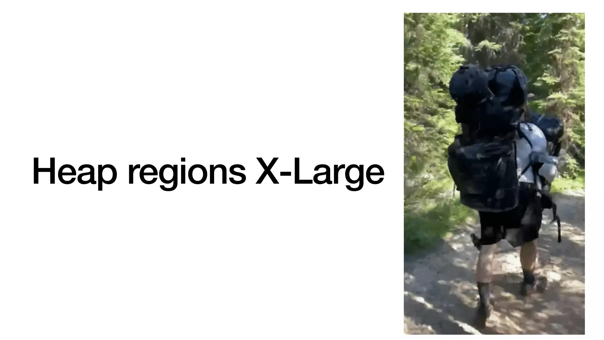 Heap regions X-Large
 