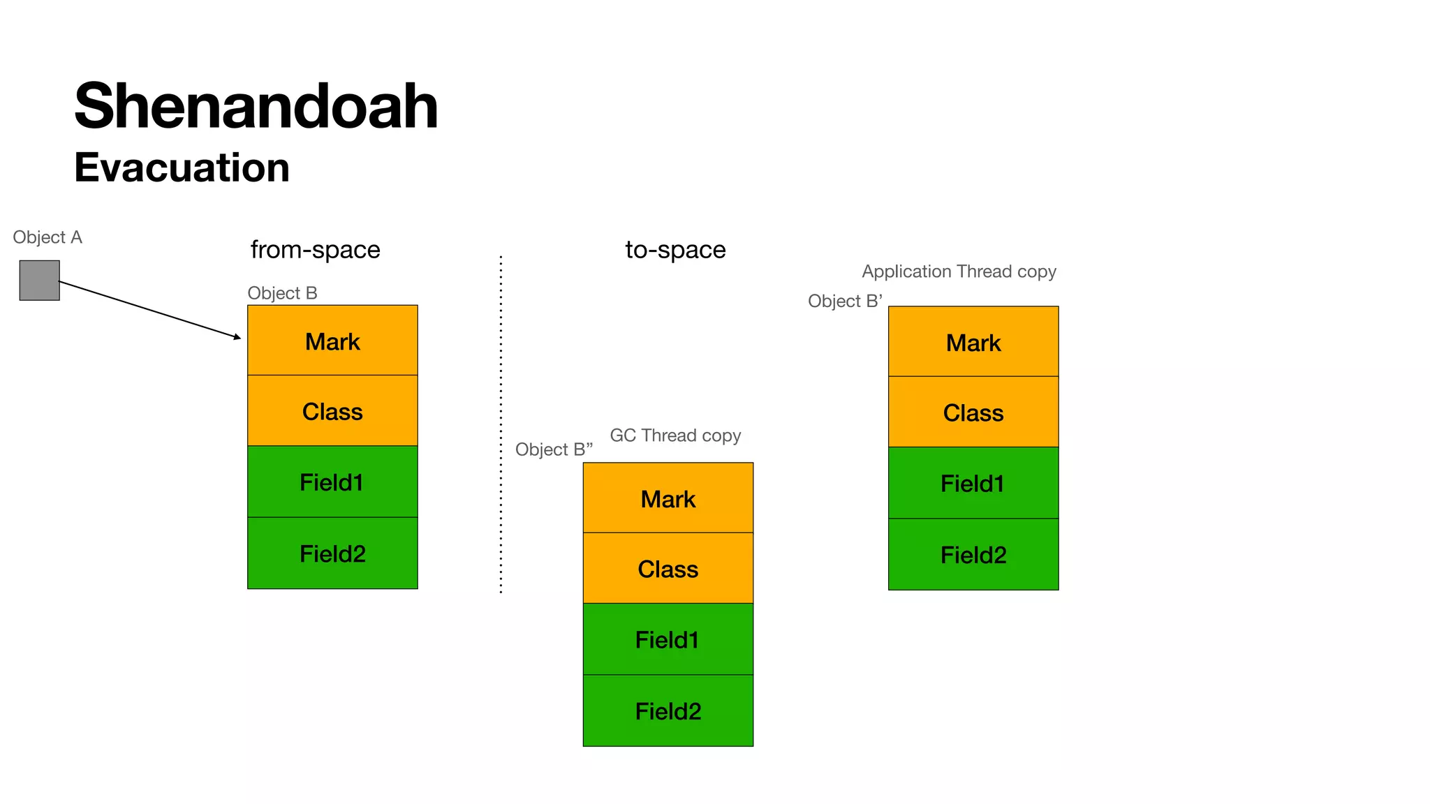 Shenandoah
Mark
Class
Field1
Field2
Evacuation
Mark
Class
Field1
Field2
from-space to-space
Mark
Class
Field1
Field2
GC Thread copy
Application Thread copy
Object A
Object B
Object B’’
Object B’
 
