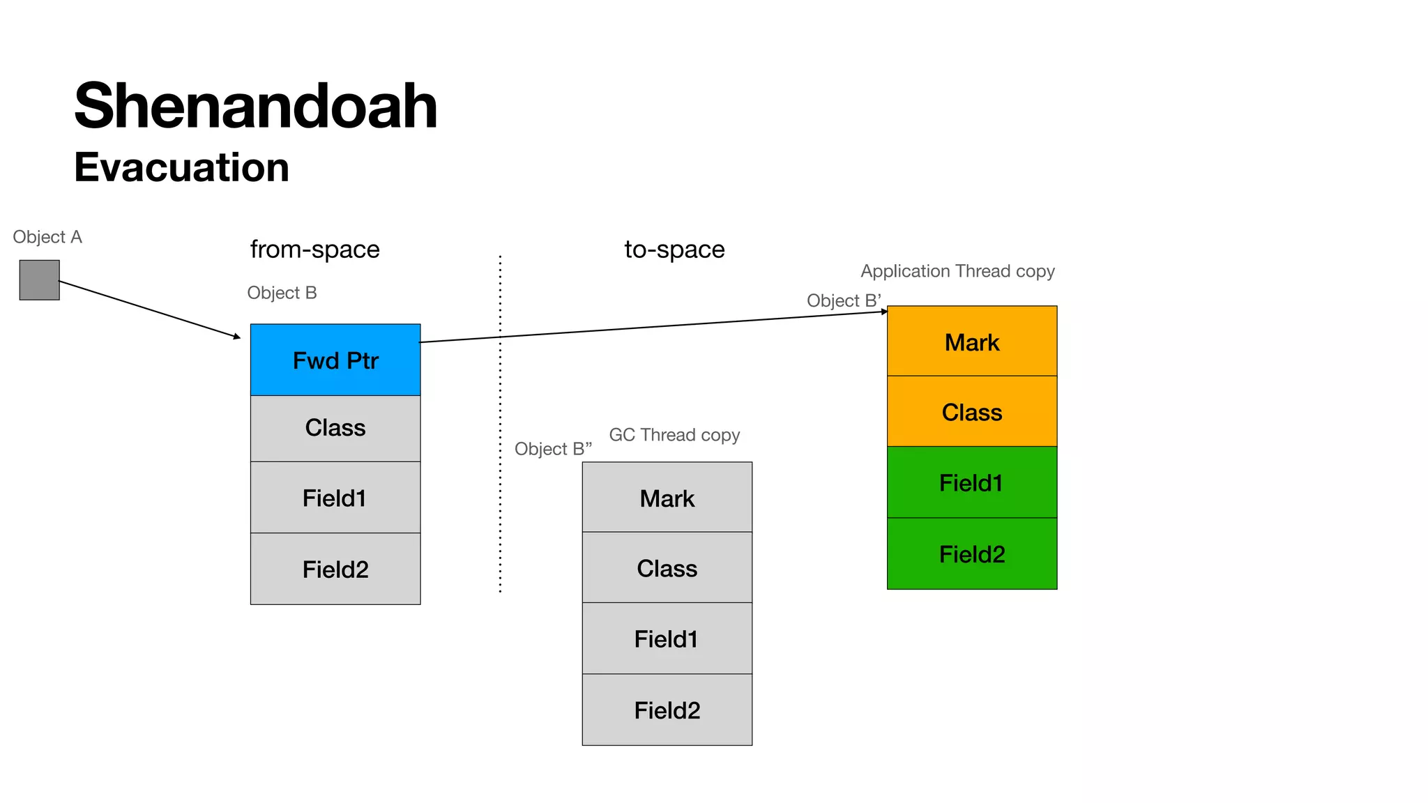 Shenandoah
Evacuation
Mark
Class
Field1
Field2
from-space to-space
Mark
Class
Field1
Field2
Class
Field1
Field2
Fwd Ptr
GC Thread copy
Application Thread copy
Object A
Object B
Object B’’
Object B’
 