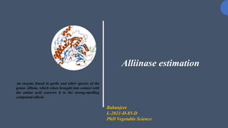Alliinase estimation
An enzyme found in garlic and other species of the
genus Allium, which when brought into contact with
the amino acid converts it to the strong-smelling
compound allicin.
Babanjeet
L-2021-H-85-D
PhD Vegetable Science
 