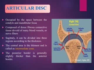 DR SHAKIR New anatomy of tmj | PPTX