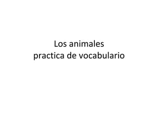 Los animales practica de vocabulario 