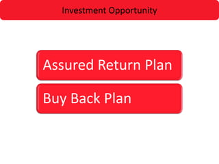 Investment Opportunity




Assured Return Plan

Buy Back Plan
 