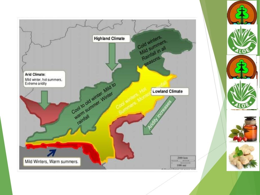 Arid And Semi Arid Zone Mediinal Plants A Presentation By Mr Allah D 