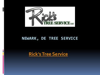 NEWARK, DE TREE SERVICE
Rick'sTree Service
 