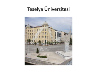 Teselya Üniversitesi
 