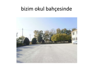 bizim okul bahçesinde
 