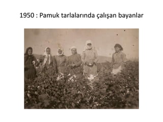 1950 : Pamuk tarlalarında çalışan bayanlar
 