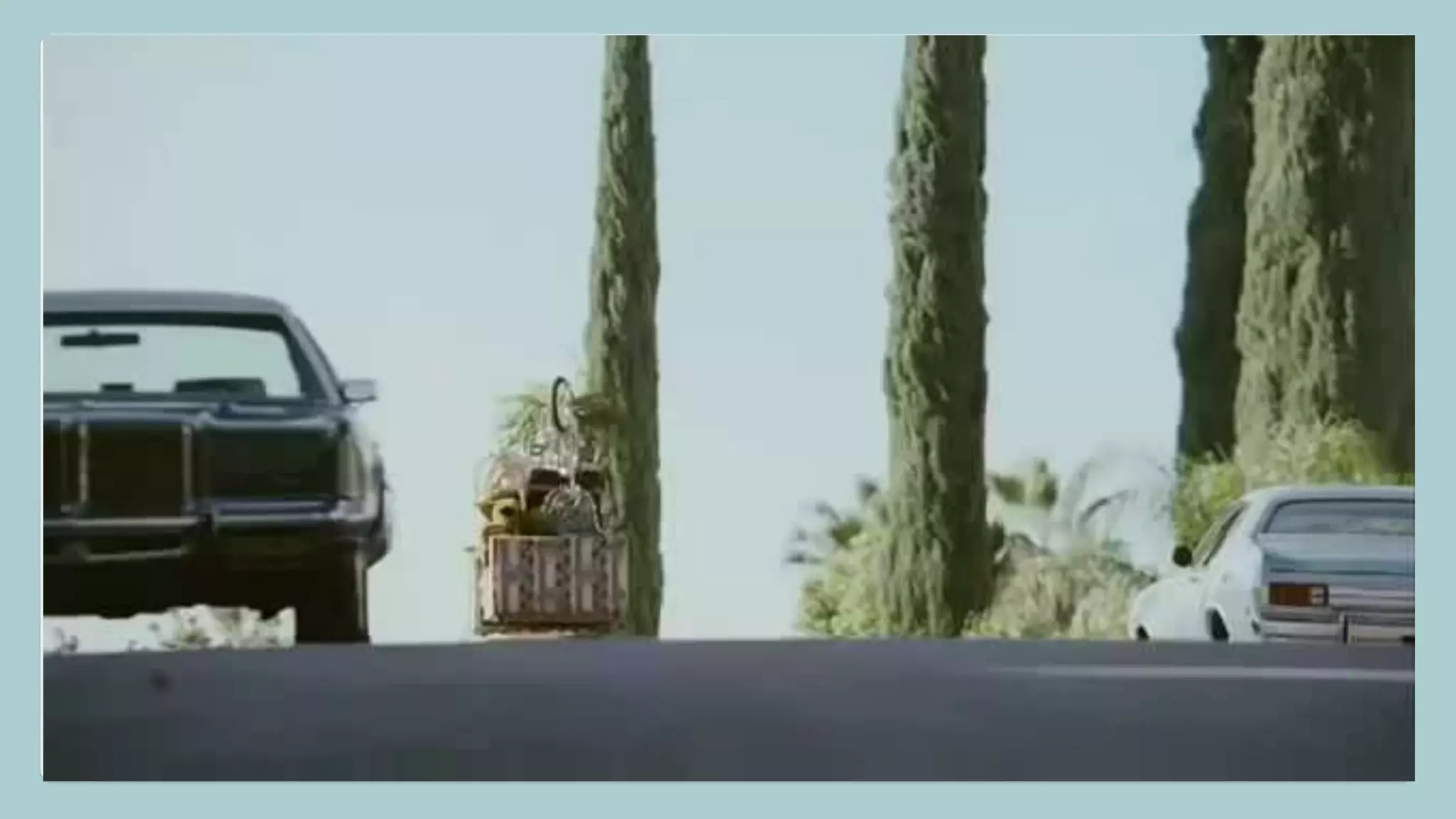 The New Beetle Case Study