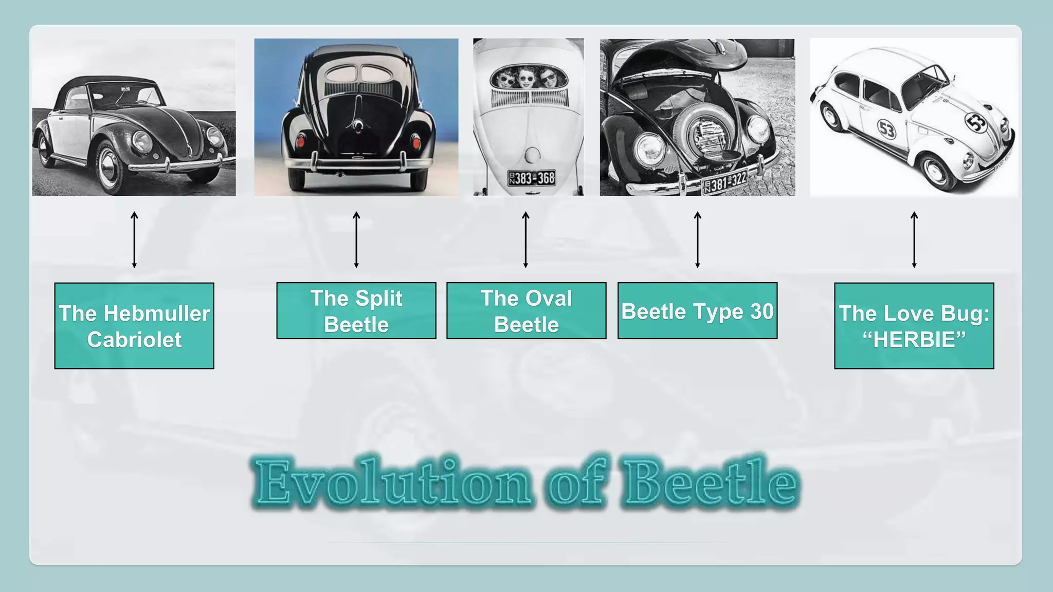 The Love Bug: 
“HERBIE” 
The Oval 
Beetle 
The Split 
Beetle 
The Hebmuller 
Cabriolet 
Beetle Type 30 
 