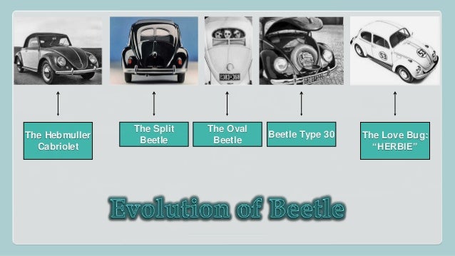 case study 1 the love bug virus Bug bite photo gallery start the 20 worst mosquito cities in the mosquito bites can transmit west nile virus and other conditions that cause encephalitis. case study 1 the love bug virus Bug bite photo gallery start the 20 worst mosquito cities in the mosquito bites can transmit west nile virus and other conditions that cause encephalitis.