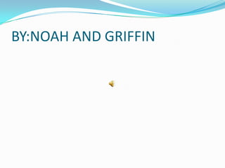 BY:NOAH AND GRIFFIN