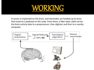 WORKING 
A sensor is implanted on the brain, and electrodes are hooked up to wires 
that travel to a pedestal on the scalp. From there, a fiber optic cable carries 
the brain activity data to a preprocessor ,then digitizer and then to a nearby 
computer. 
 