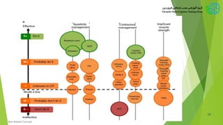 13
New Bobath Concept
 