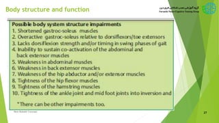 Body structure and function
New Bobath Concept 27
 