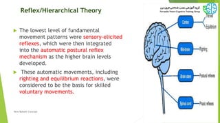 Reflex/Hierarchical Theory
 The lowest level of fundamental
movement patterns were sensory-elicited
reflexes, which were then integrated
into the automatic postural reflex
mechanism as the higher brain levels
developed.
 These automatic movements, including
righting and equilibrium reactions, were
considered to be the basis for skilled
voluntary movements.
36New Bobath Concept
 