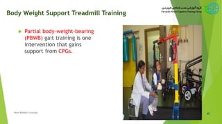 Body Weight Support Treadmill Training
 Partial body-weight-bearing
(PBWB) gait training is one
intervention that gains
support from CPGs.
42New Bobath Concept
 