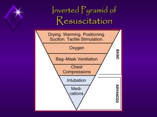 Inverted Pyramid of

Resuscitation

 