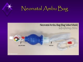 Neonatal Ambu Bag

 