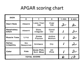 Apgar Chart.pdf Newborn | PPTX