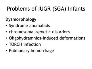 Problems of IUGR (SGA) Infants
Dysmorphology
• Syndrome anomalads
• chromosomal-genetic disorders
• Oligohydramnios-induced deformations
• TORCH infection
• Pulmonary hemorrhage
 