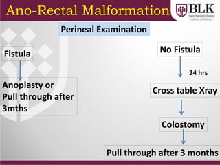 Ano-Rectal Malformation
Perineal Examination
Fistula
Anoplasty or
Pull through after
3mths
No Fistula
24 hrs
Cross table Xray
Colostomy
Pull through after 3 months
 