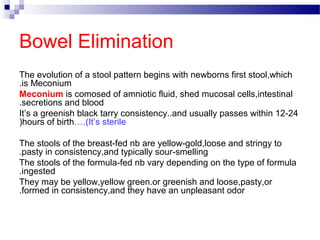Newborn adaptation | PPT