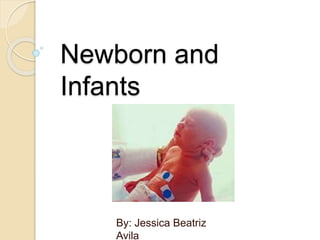 Newborn and
Infants
By: Jessica Beatriz
Avila
 