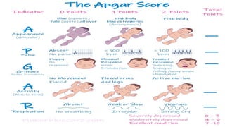 NEW BORN ASSESEMENT updated.pptx