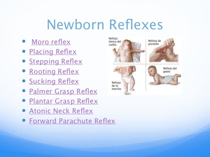 Newborn Baby Reflexes Chart