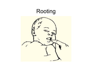 Rooting
 