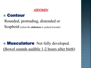 newborn assessment.pptx
