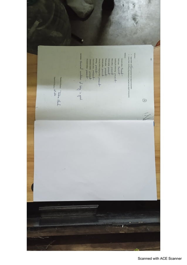 Newborn Assessment Pdf