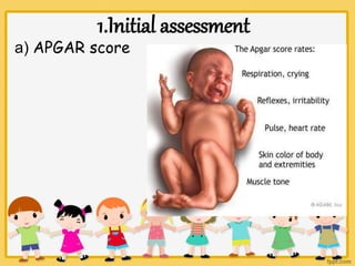 neonatal assessment ppt - shani jyothis | PPT