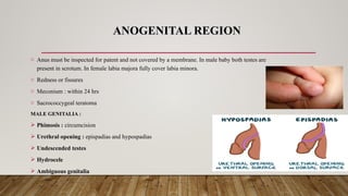 Comprehensive Newborn Assessment: Physical and Behavioral Evaluation in ...