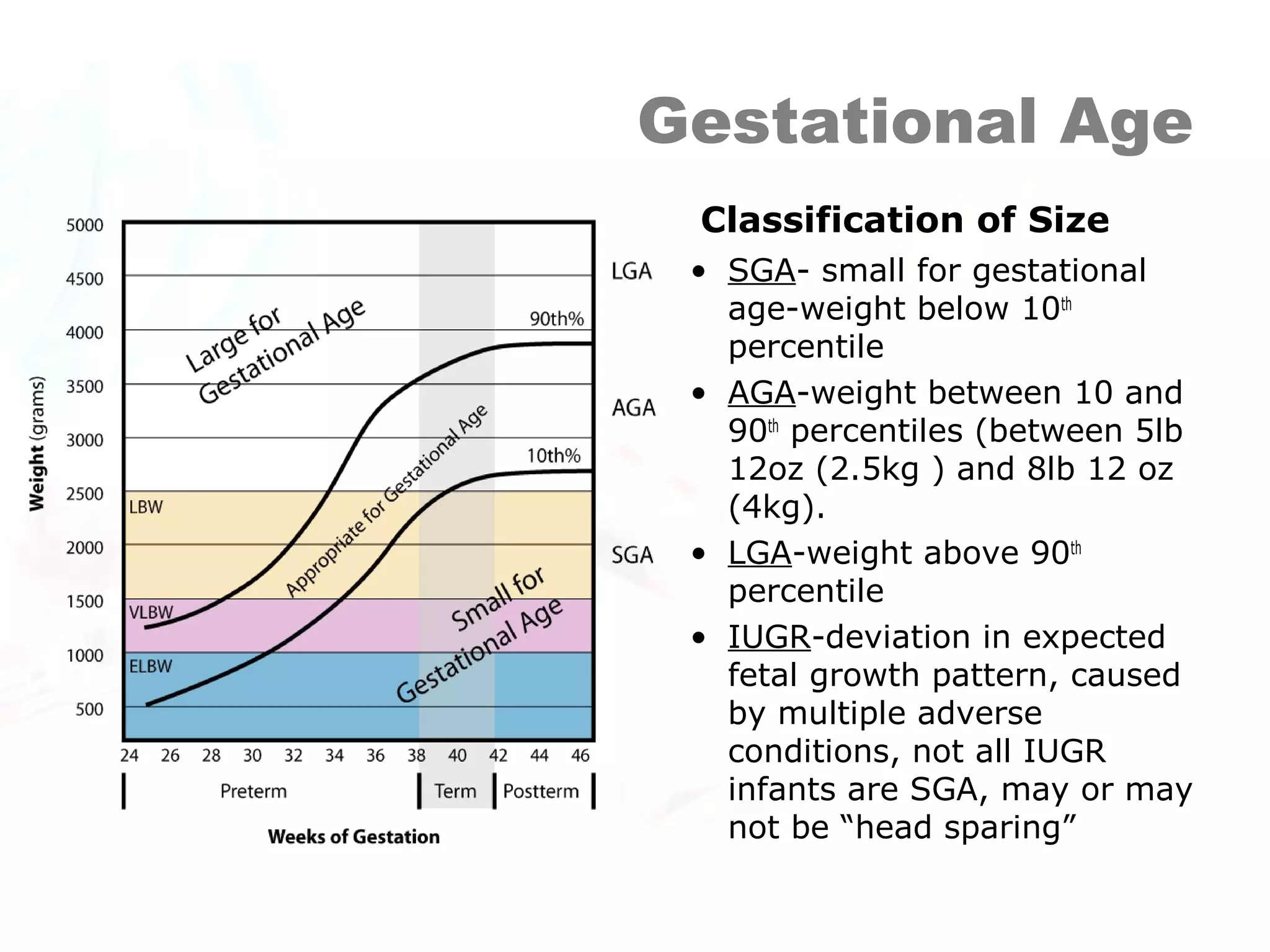 Sga Classification Newborn Assessment by Hadi Hospital NICU. | PPS