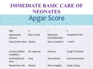 IMMEDIATE BASIC CARE OF
NEONATES
 
