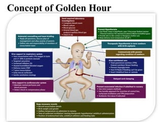Concept of Golden Hour
 