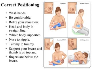 Correct Positioning
• Wash hands.
• Be comfortable.
• Relax your shoulders.
• Head and body in
straight line.
• Whole body supported.
• Nose to nipple.
• Tummy to tummy.
• Support your breast and
thumb is on top and
• fingers are below the
breast.
 