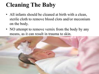 Cleaning The Baby
• All infants should be cleaned at birth with a clean,
sterile cloth to remove blood clots and/or meconium
on the body.
• NO attempt to remove vernix from the body by any
means, as it can result in trauma to skin.
 