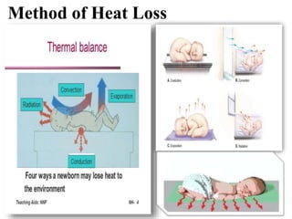 Method of Heat Loss
 