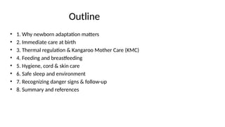Newborn_Care_Adaptation_Presentation.pptx