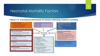 Neonatal Mortality Factors
9
 