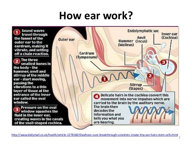 Newborn genetic screening for high risk deafness associated 2