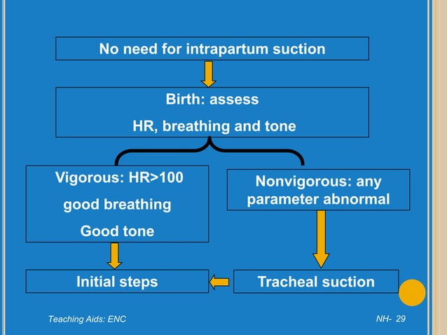 Newborn Resuscitation.ppt