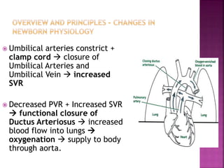 Increased Svr Newborn Resuscitation C2 2020.pptx