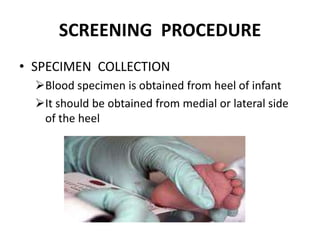 SCREENING PROCEDURE
• SPECIMEN COLLECTION
Blood specimen is obtained from heel of infant
It should be obtained from medial or lateral side
of the heel
 