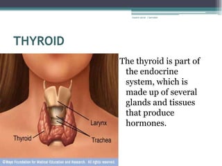 rosario anne r bernabe




THYROID
          The thyroid is part of
           the endocrine
           system, which is
           made up of several
           glands and tissues
           that produce
           hormones.
 