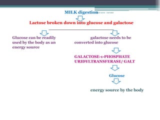 MILK digestion anne r bernabe
                                      rosario




        Lactose broken down into glucose and galactose
                 ________________________

Glucose can be readily                galactose needs to be
used by the body as an        converted into glucose
energy source

                              GALACTOSE-1-PHOSPHATE
                              URIDYLTRANSFERASE/ GALT


                                                   Glucose


                                        energy source by the body
 